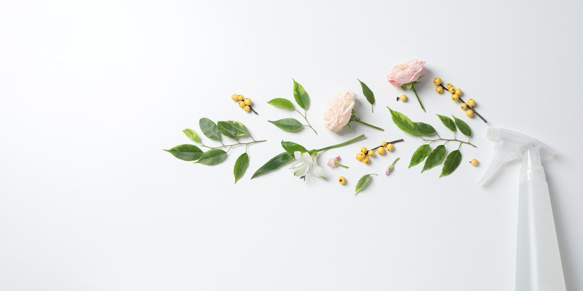 Limpieza de primavera eficaz: paso a paso para una limpieza profunda del hogar