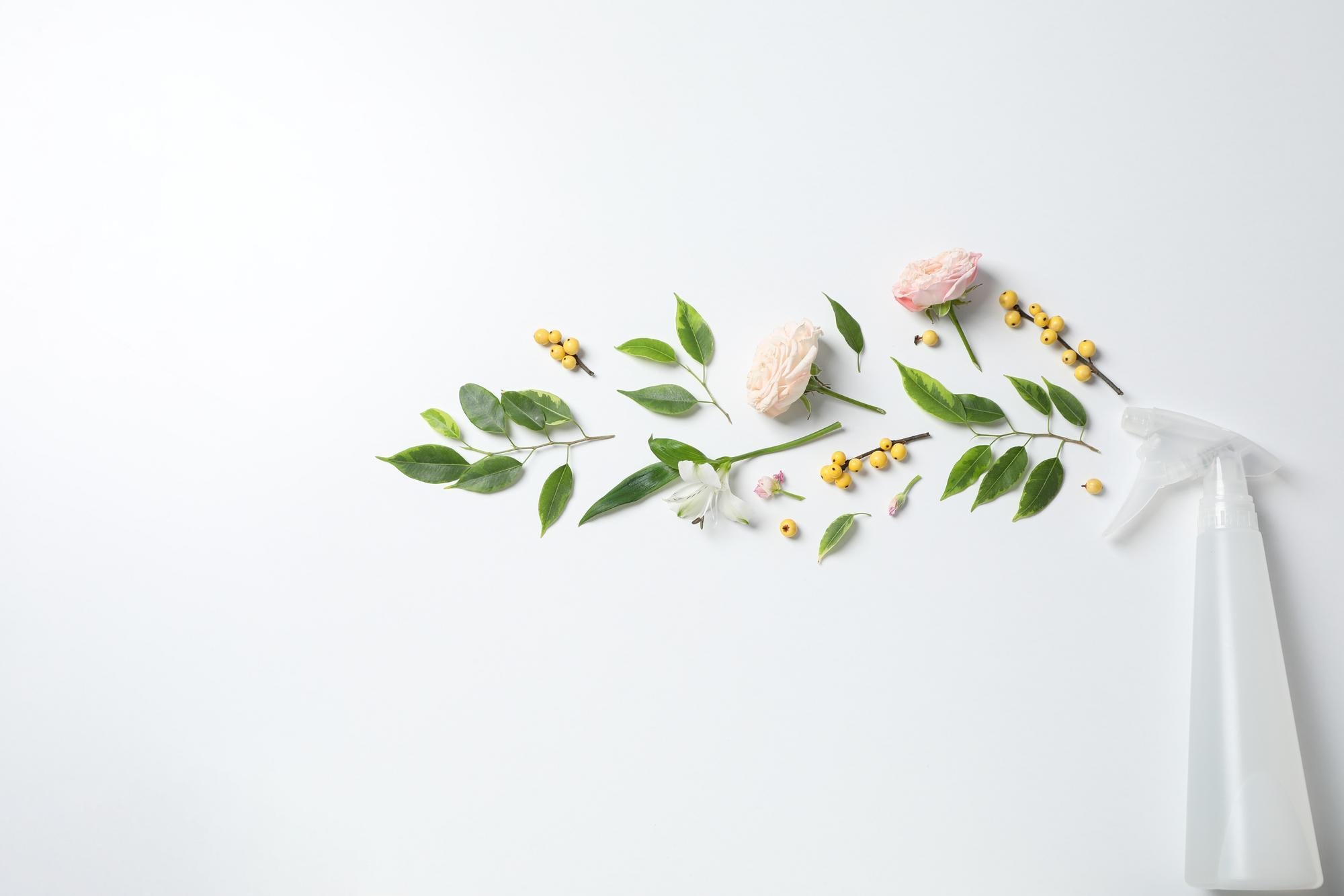 Limpieza de primavera eficaz: paso a paso para una limpieza profunda del hogar