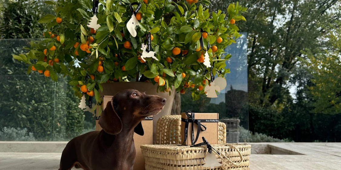 Productos de limpieza que deberías dejar de usar si tienes bebés o mascotas (y con qué reemplazarlos)