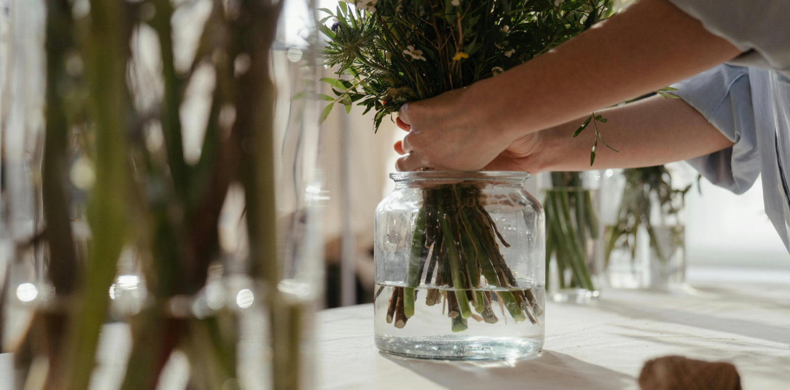 Productos ecológicos para el hogar