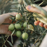 Jabón de Lavandería para lana, cashemire y seda. 100% natural y biodegradable. Detergente liquido a base de aceite de oliva.